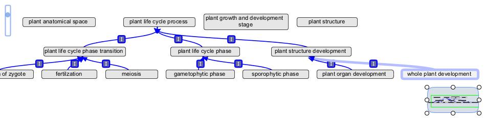 Life cycle process.jpg