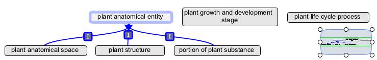 Plant anatomical entity.jpg