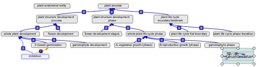 Life cycle process 2.jpg